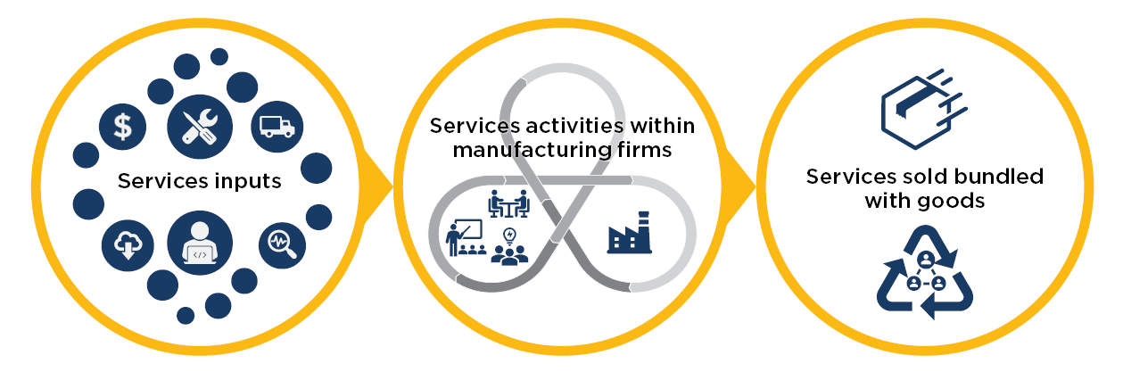Services input, services activities within manufacturing firms, services sold bundled with goods 
